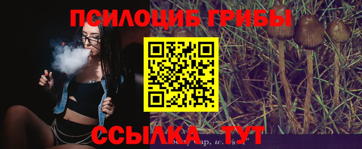 Псилоцибиновые грибы мицелий Тобольск