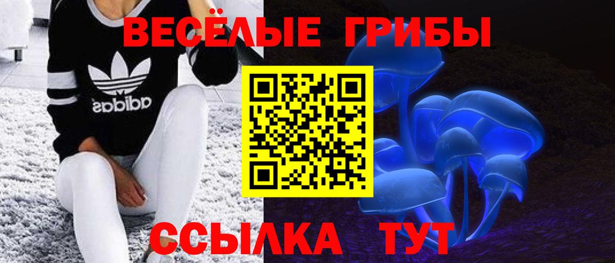 Галлюциногенные грибы мухоморы  Галлюциногенные грибы Psilocybine cubensis  продажа наркотиков  Тобольск  Вход с VPN 